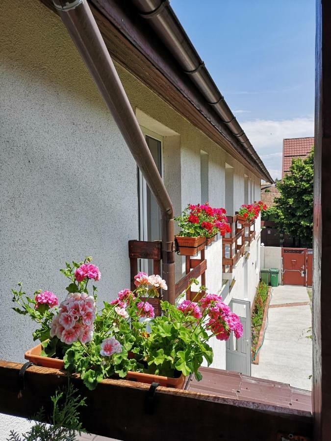 Casa Mais Brasov Bagian luar foto